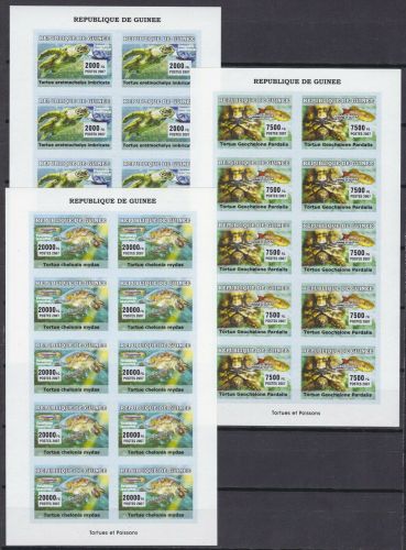 Guinea 4674/4677 postfr./mnh Schildkröten turtles Fische fish 2007 ungez.IMPERF.