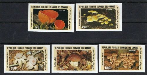 Komoren 762/766 postfr./mnh Pilze mushrooms ungez.IMPERF.
