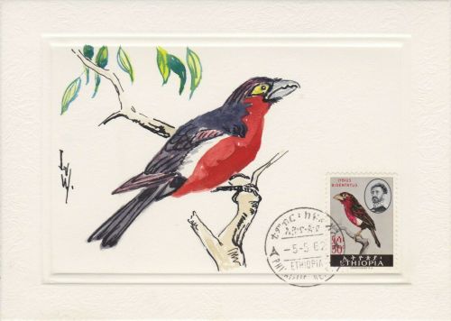 Äthiopien Nr. 428 handgemalte Original-Zeichnungen des Entwerfers Vögel birds