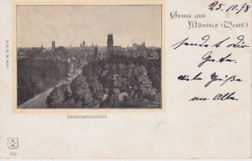 AK Gruss aus Münster Gesamtansicht 1898