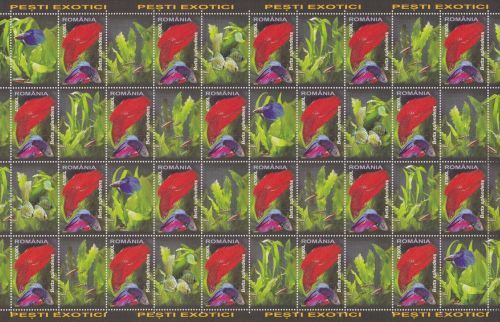 Rumänien 5912/5915 postfr./mnh Fische fish 2005