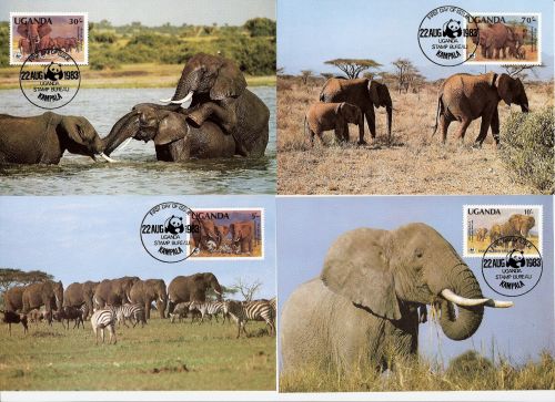 Uganda A601 (10 Shilling oben) Maximumkarte Elefanten Tiere animals WWF