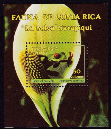 Costa Rica Block 13 postfr./mnh Fauna Frösche frogs 1986