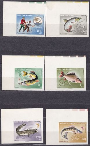 Ungarn 2344/2350 B postfr/mnh Marine life Fische fish 1967