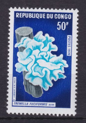 Kongo 237 postfr./mnh Pilze mushrooms 1970