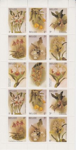 Belize 973/979 postfr./mnh Orchideen orchids 1987