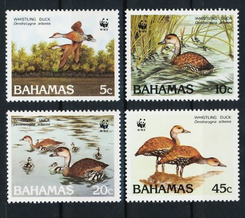 Bahamas 672/675 postfr./mnh Pfeifgans Vögel birds 1988 WWF