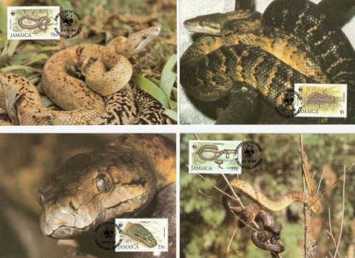 Jamaica 591/594 Maximumkarten Schlangen snakes WWF