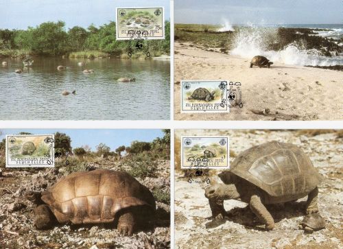 Äußere Seychellen 104/107 Maximumkarten Schildkröten turtles 1985 WWF