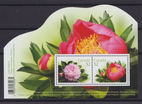 Kanada Block 101 postfr./mnh Pfingstrose Blumen flowers 2008