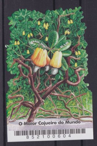 Brasilien Block 132 postfr./mnh Der größte Kaschubaum 2006