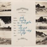 AK Feriengrüsse aus Ostseebad Sierksdorf 1952