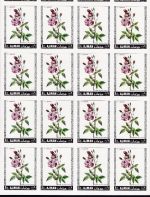 Ajman 405/410 B postfr. Blumen Rosen 1969