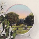 Tonga Ganzsache/ppc ca. 1898 The Orange Grooves