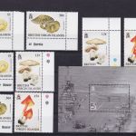Jungferninseln postfr./mnh Sammlung aus 1952/2009 Michel 431 €