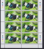 Cook 2279/2286 postfr./mnh Schmetterlinge butterfly 2020 Michel 1280 €