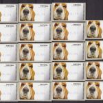 Portugal Lot 50 ATM Hunde dogs viele Typen