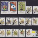 Ciskei 1981/1991 gest. komplett