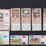 Ciskei 1981/1991 gest. komplett