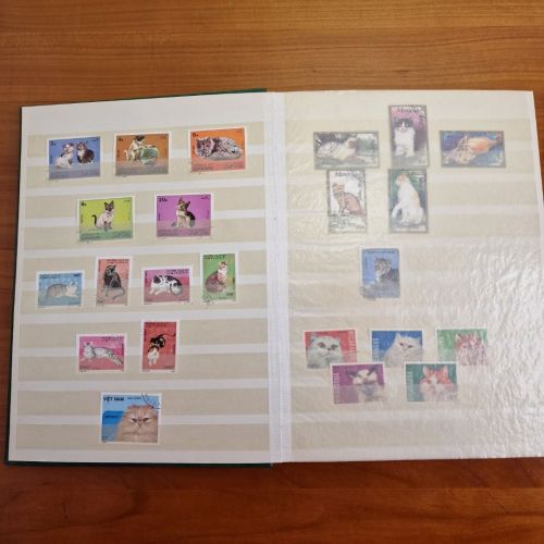Katzen  Hunde Motivsammlung  im Alben ca  25 Seiten