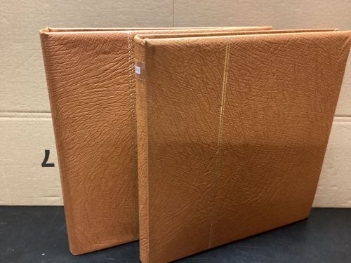 SAFE Ringbinder (14 Ringe)  2 Stück gebraucht leer   LESEN