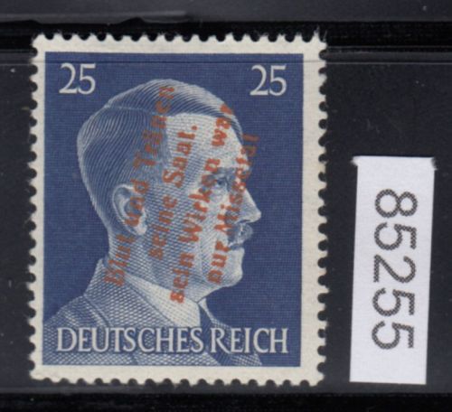 Mühlberg, Mich.-Nr.: 25 Pf *   nicht Amtlich