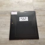 SAFE  Karton- Blankoblätter (793) schwarz mit Goldrand   10 Stück  NEU