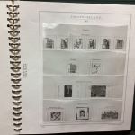 MARINI  Ringbinder grün + Vordrucke Bund  2003-09    gebraucht