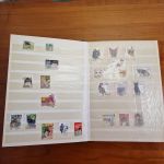 Katzen  Hunde Motivsammlung  im Alben ca  25 Seiten