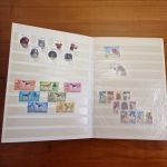 Katzen  Hunde Motivsammlung  im Alben ca  25 Seiten