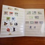 Katzen  Hunde Motivsammlung  im Alben ca  25 Seiten