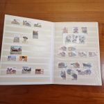Katzen  Hunde Motivsammlung  im Alben ca  25 Seiten