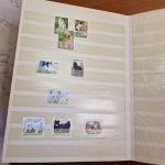 Katzen  Hunde Motivsammlung  im Alben ca  25 Seiten