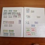 Tiere    Motivsammlung  im Alben ca  56 Seiten