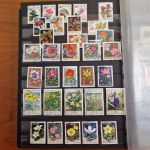 Pflanzen  Blumen   Motivsammlung  im Alben ca  48 Seiten