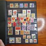 Pflanzen  Blumen   Motivsammlung  im Alben ca  48 Seiten