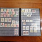 Pflanzen  Blumen   Motivsammlung  im Alben ca  48 Seiten
