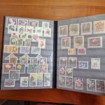 Pflanzen  Blumen   Motivsammlung  im Alben ca  48 Seiten