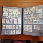 Pflanzen  Blumen   Motivsammlung  im Alben ca  48 Seiten