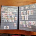 Pflanzen  Blumen   Motivsammlung  im Alben ca  48 Seiten