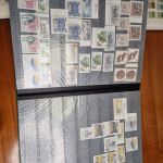 Nachlass Karton 17 Kg  Deutschland   Wunderkarton