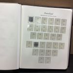 Borek Bund 1949-71 + Bizone Falzlos Vordruckalben mit Taschen Komplett