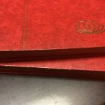 Briefmarkenalbum Einsteckalbum 2 Stück a 32 Seiten schwarz gebraucht LESEN