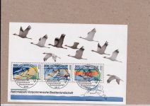 Bund 1996, Mich.-Nr.: 1834-1894 Gestempelt Frankfurt Komplett LUXUS  Zentrisch Ersttag