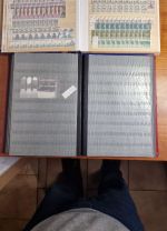 Belgien Sammlung  Lagerbestand  **-*-gest