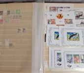 Belgien Sammlung  Lagerbestand  **-*-gest