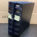 Borek DDR 1981-90  Falzlos Vordruckalben mit Taschen Komplett