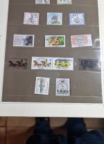 Bund ab 1974  viel Zentrisch gestempelt  im Safe Vordruck