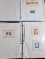 Rumänien  Blocksammlung ab nr. 1    viele bessere dabei