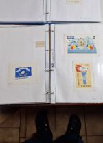 Rumänien  Blocksammlung ab nr. 1    viele bessere dabei